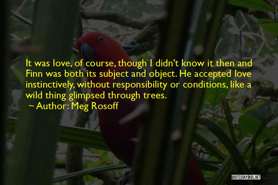 Love Conditions Quotes By Meg Rosoff