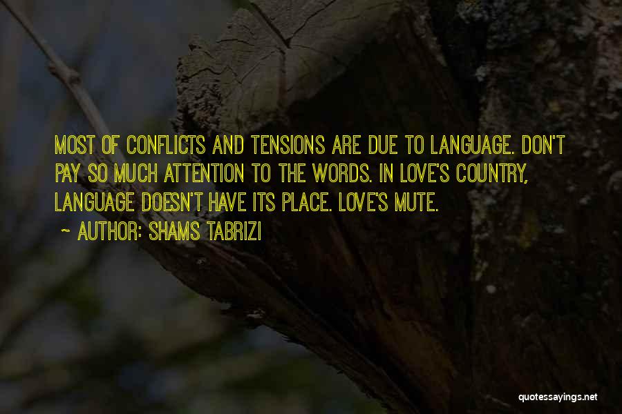 Love Conflicts Quotes By Shams Tabrizi