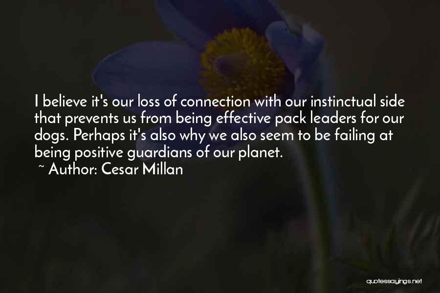 Love Connection Show Quotes By Cesar Millan