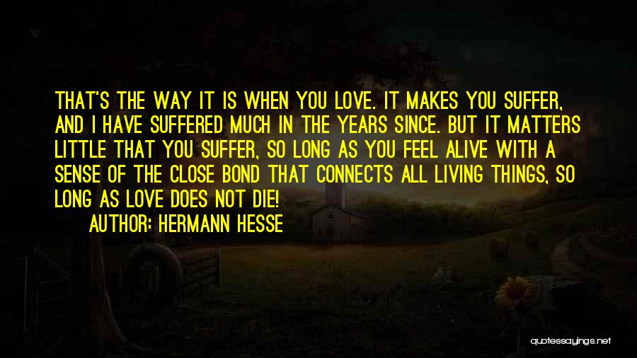 Love Connects Us All Quotes By Hermann Hesse