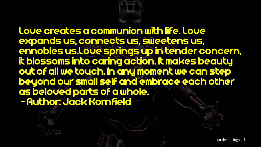 Love Connects Us All Quotes By Jack Kornfield