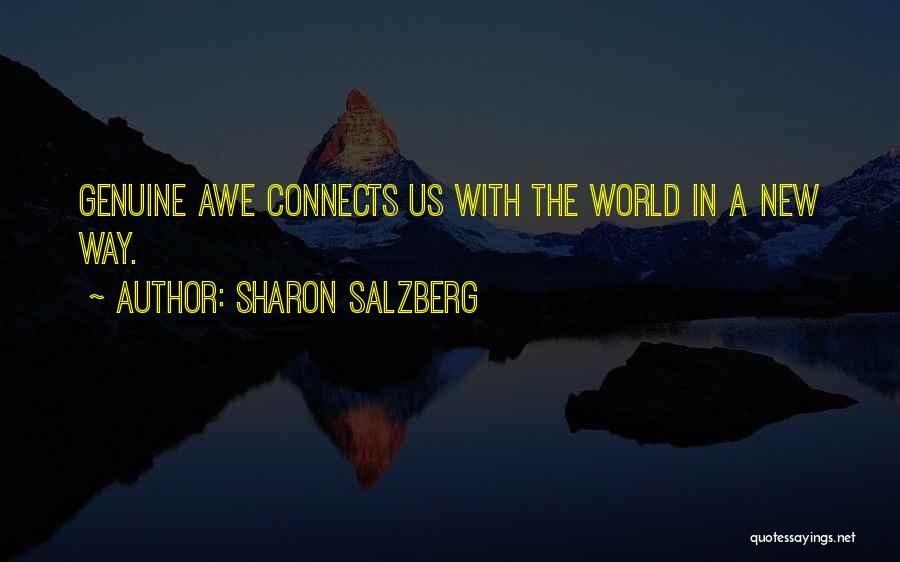 Love Connects Us All Quotes By Sharon Salzberg