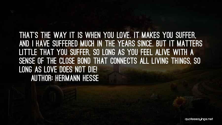Love Connects Us Quotes By Hermann Hesse