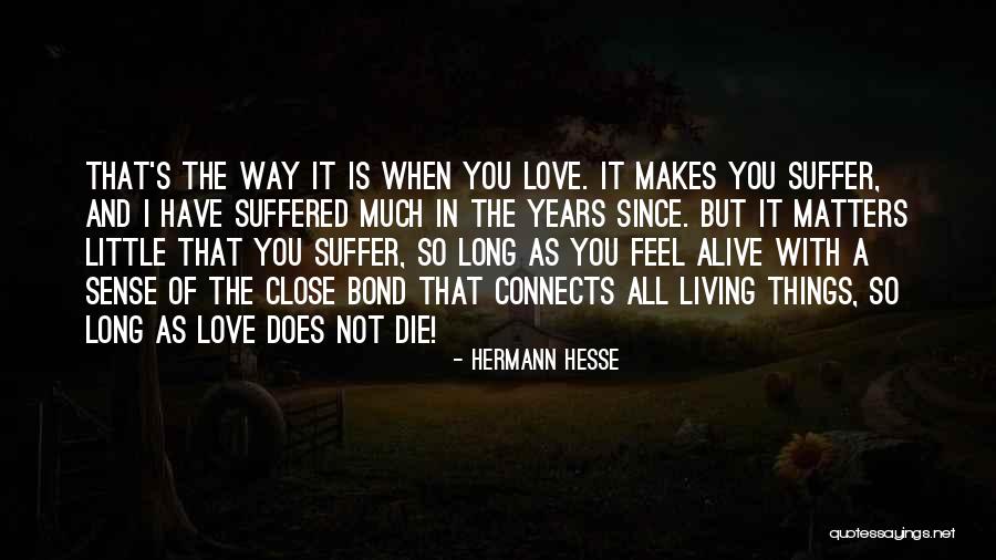 Love Connects Us Quotes By Hermann Hesse