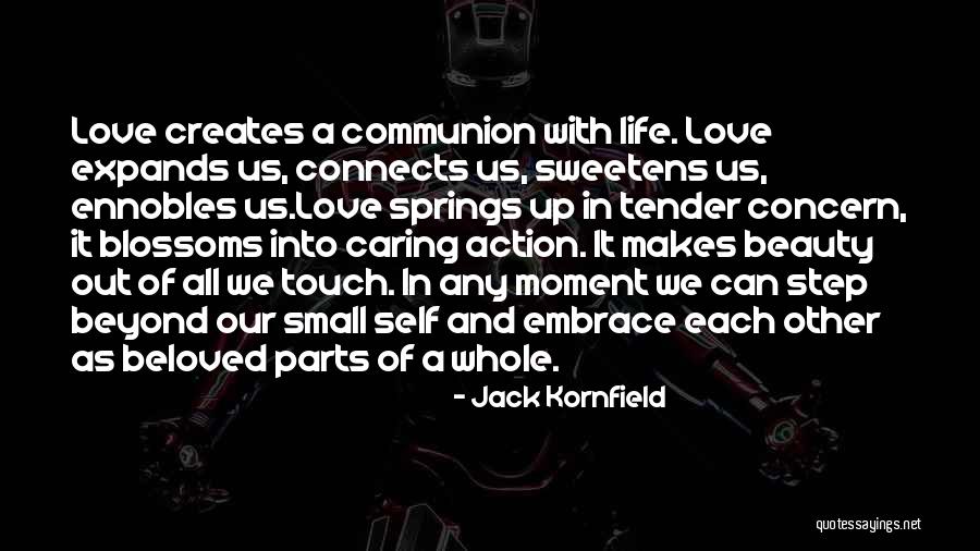 Love Connects Us Quotes By Jack Kornfield