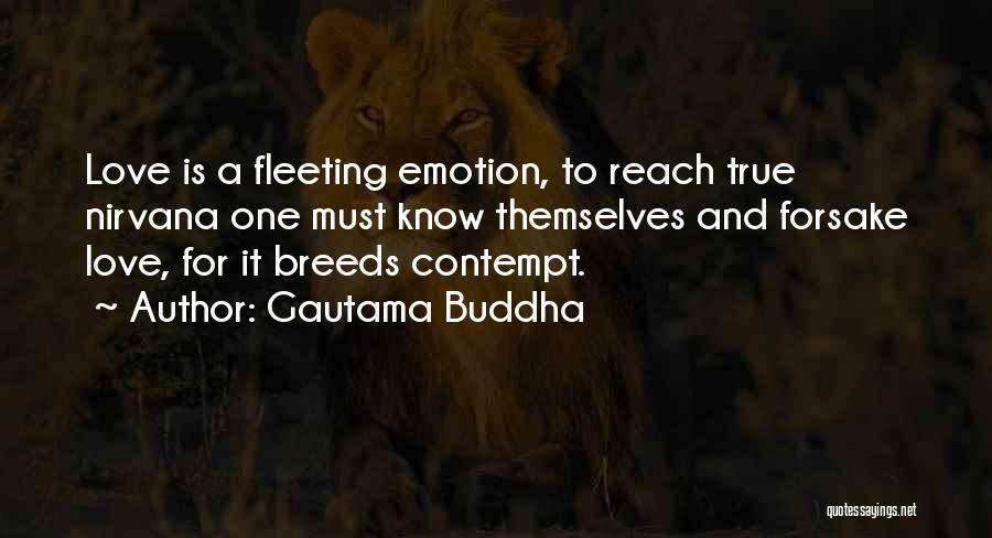 Love Contempt Quotes By Gautama Buddha