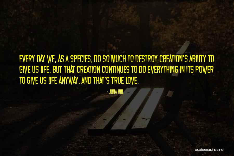 Love Continues Quotes By Julia Hill Love Continues Quotes By Julia Hill