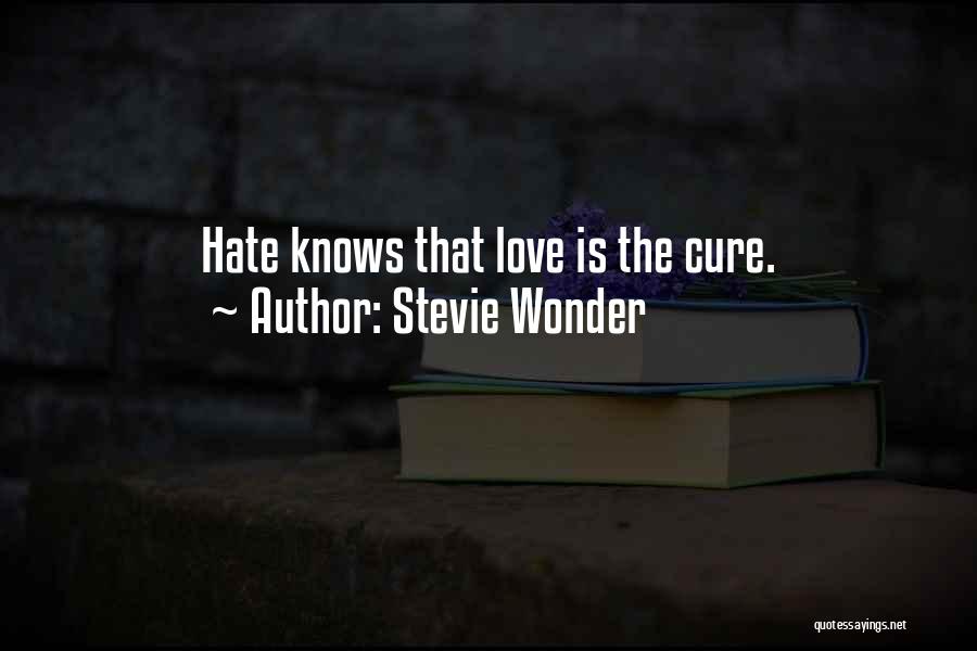 Love Cures Quotes By Stevie Wonder