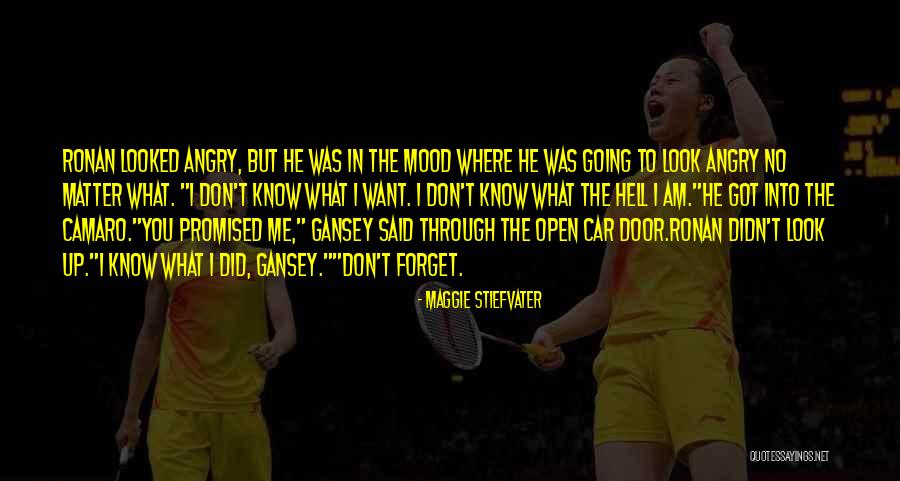 Love Cycle Quotes By Maggie Stiefvater Love Cycle Quotes By Maggie Stiefvater