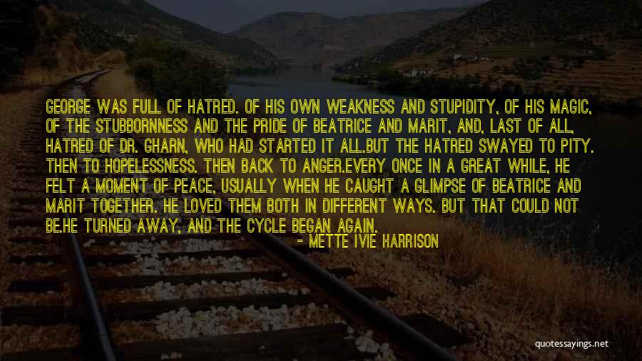 Love Cycle Quotes By Mette Ivie Harrison