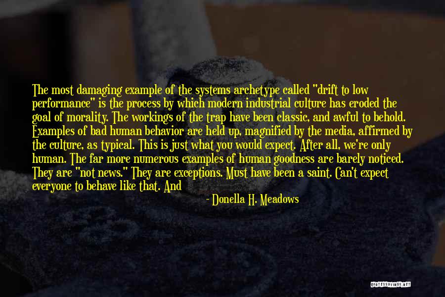 Love Cynicism Quotes By Donella H. Meadows Love Cynicism Quotes By Donella H. Meadows