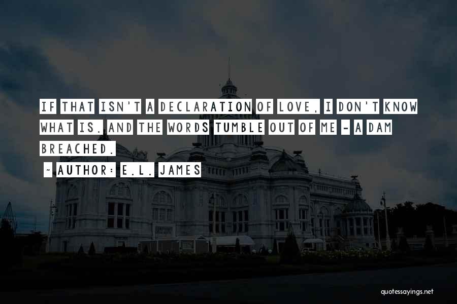 Love Declaration Quotes By E.L. James