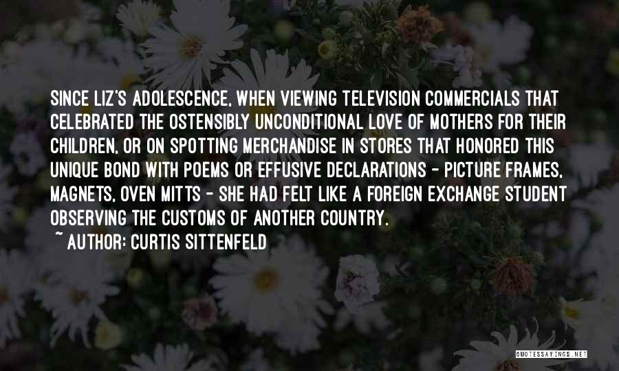 Love Declarations Quotes By Curtis Sittenfeld