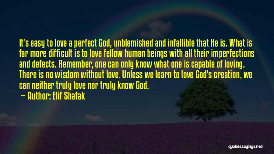 Love Defects Quotes By Elif Shafak