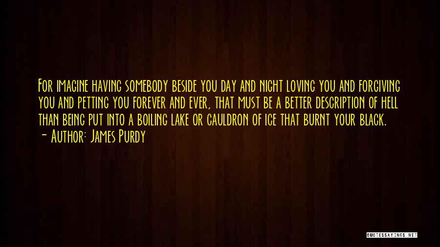 Love Description Quotes By James Purdy
