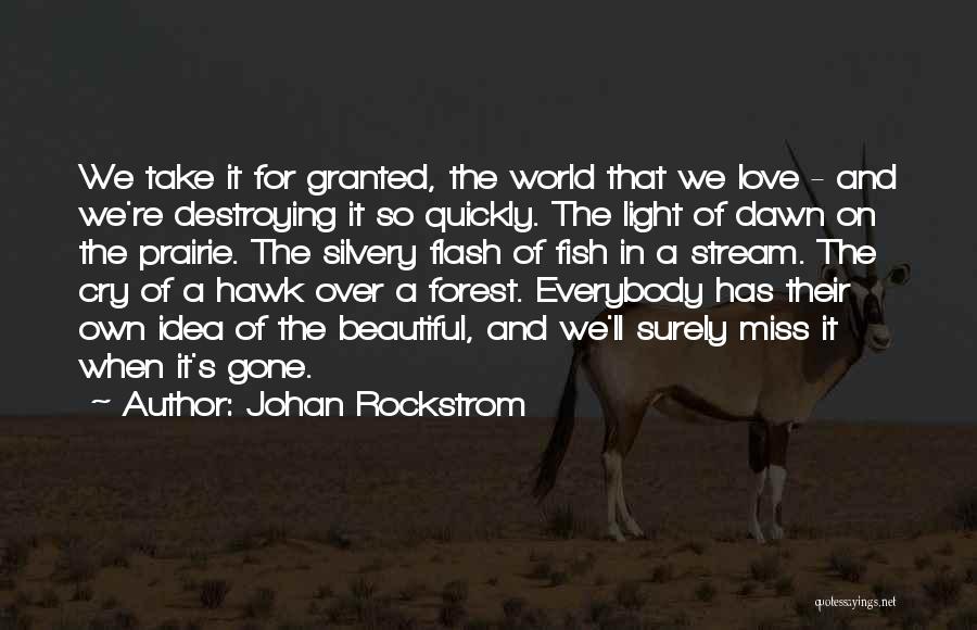 Love Destroying Quotes By Johan Rockstrom
