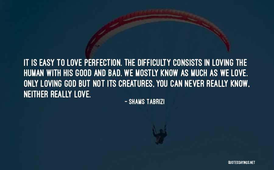 Love Difficulty Quotes By Shams Tabrizi Love Difficulty Quotes By Shams Tabrizi