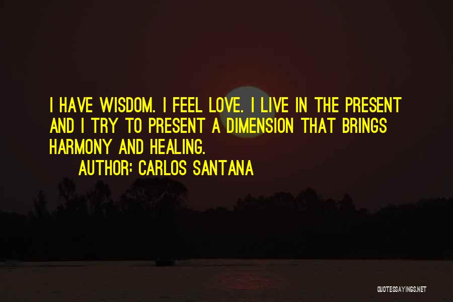 Love Dimension Quotes By Carlos Santana