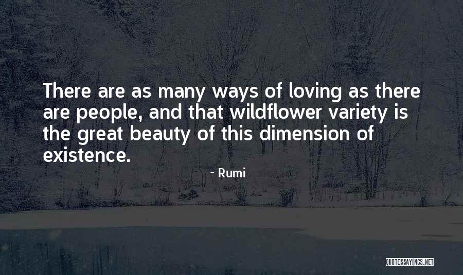 Love Dimension Quotes By Rumi