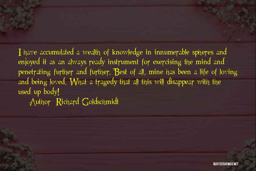 Love Disappear Quotes By Richard Goldschmidt