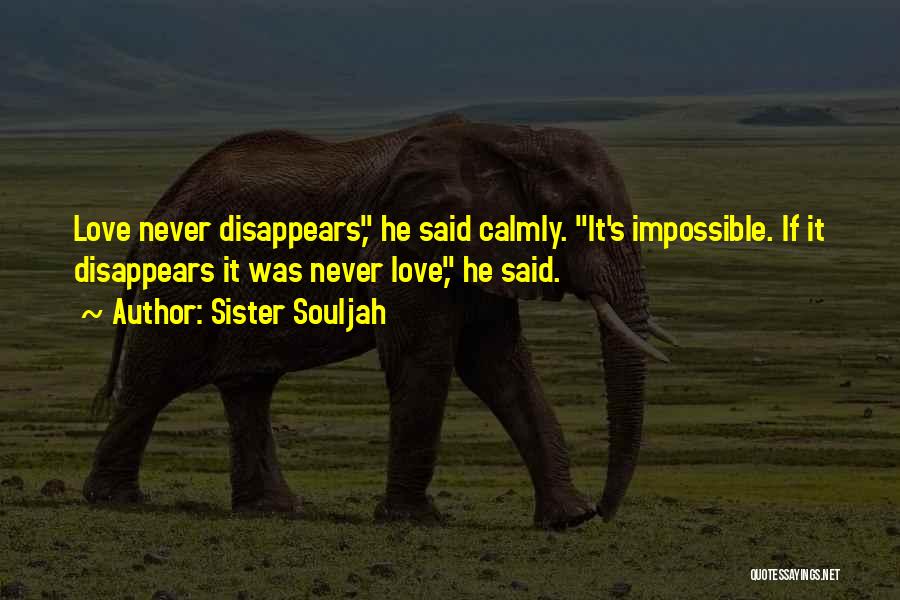 Love Disappears Quotes By Sister Souljah