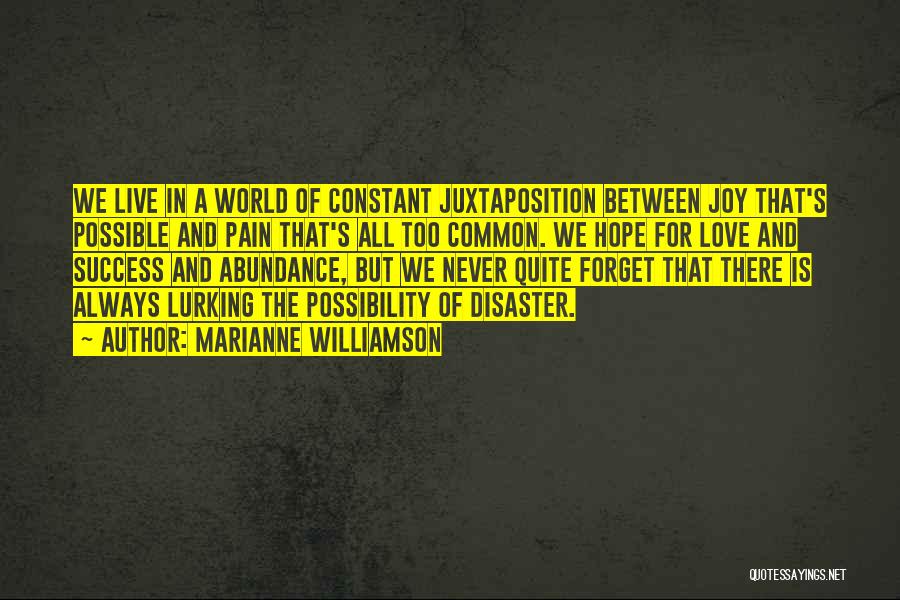 Love Disaster Quotes By Marianne Williamson