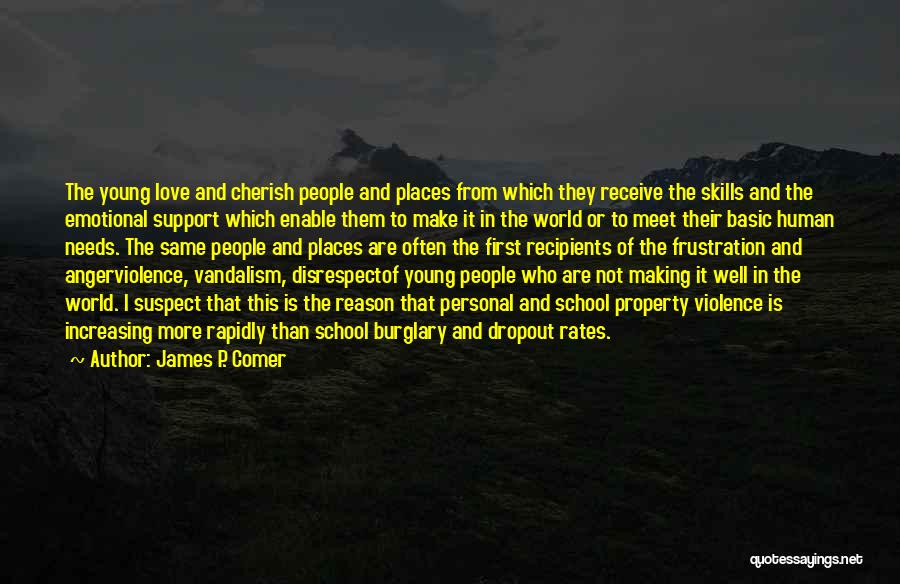 Love Disrespect Quotes By James P. Comer