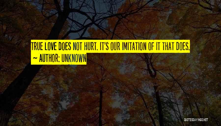 Love Does Hurt Quotes By Unknown