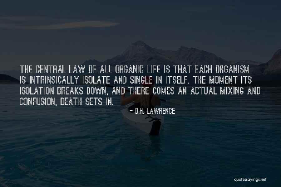 Love Does Not Isolate Quotes By D.H. Lawrence Love Does Not Isolate Quotes By D.H. Lawrence