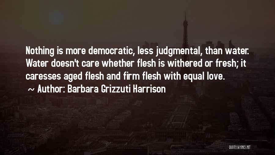 Love Doesn't Care Quotes By Barbara Grizzuti Harrison