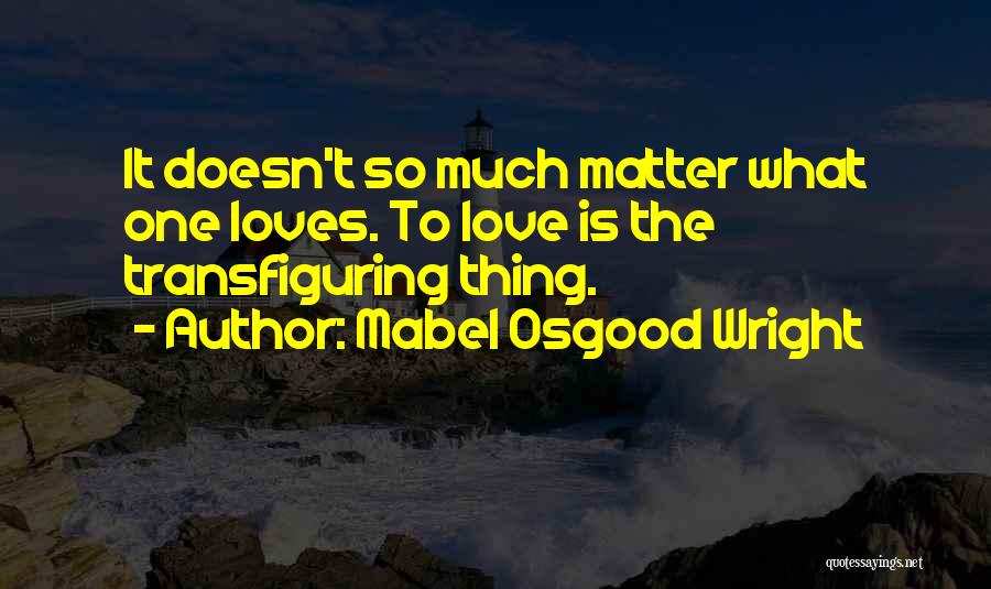 Love Doesn't Matter Quotes By Mabel Osgood Wright