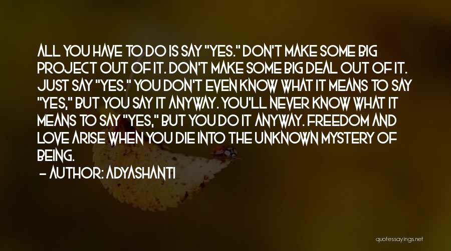 Love Don't Die Quotes By Adyashanti