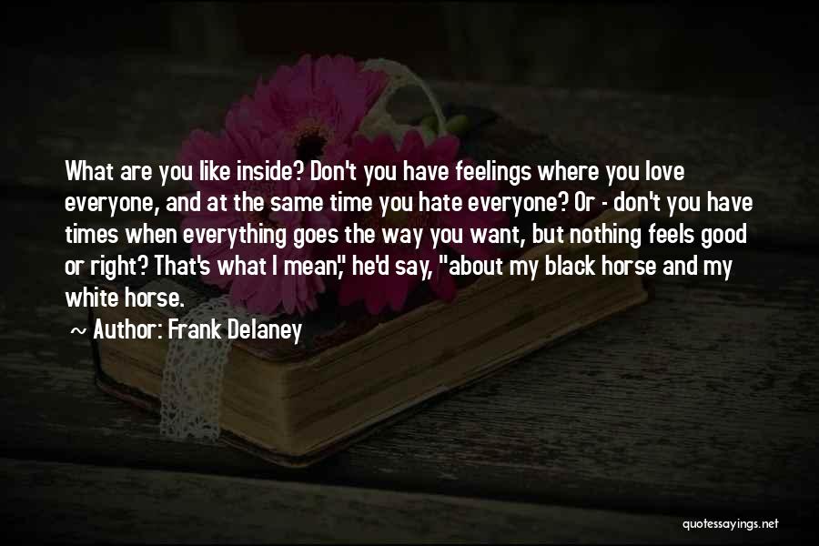 Love Don't Mean Nothing Quotes By Frank Delaney