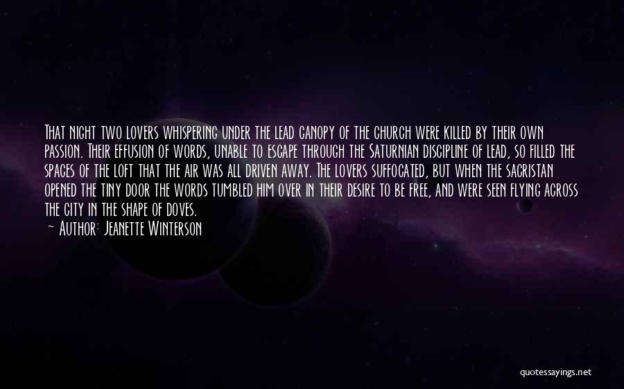 Love Doves Quotes By Jeanette Winterson