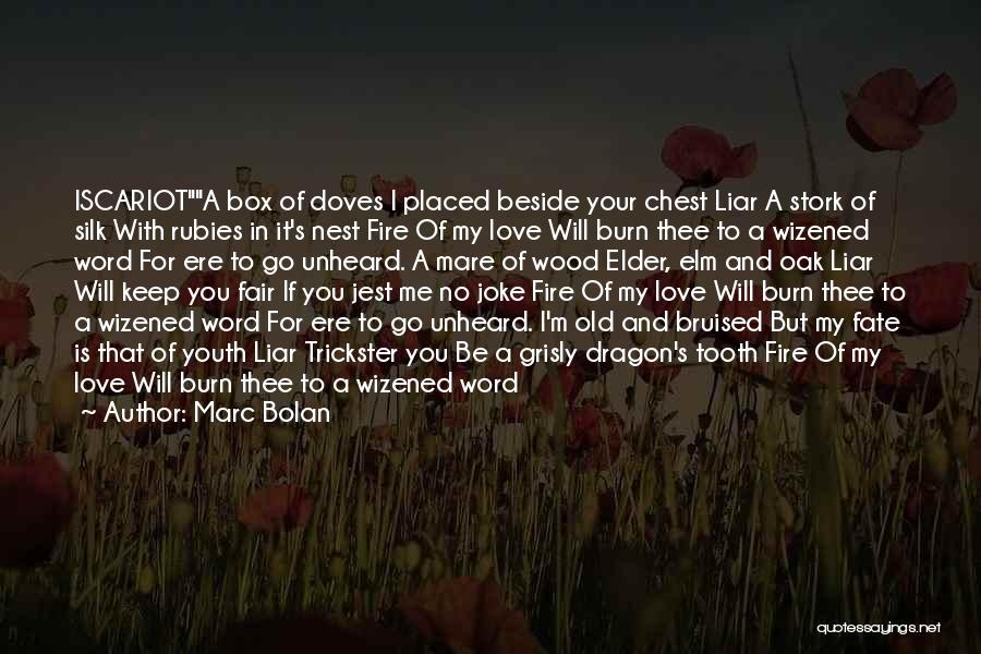 Love Doves Quotes By Marc Bolan