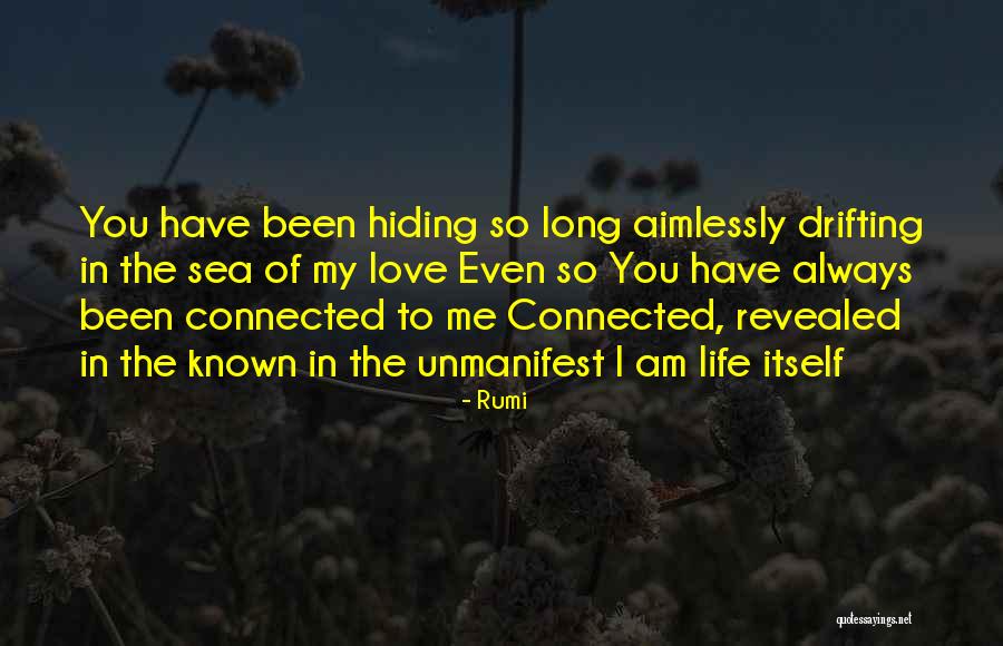 Love Drifting Quotes By Rumi Love Drifting Quotes By Rumi
