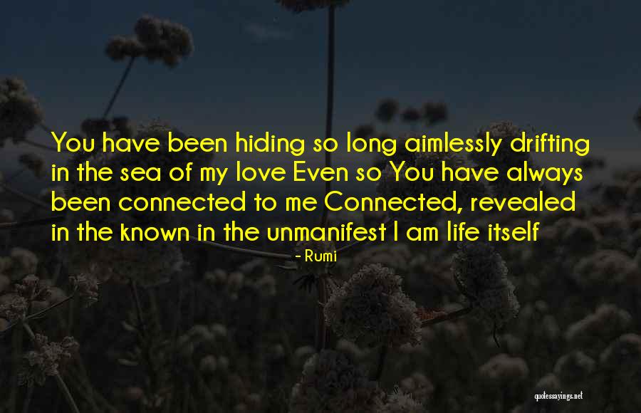 Love Drifting Quotes By Rumi