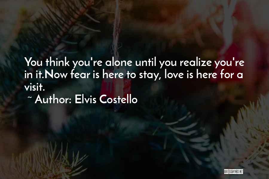 Love Elvis Quotes By Elvis Costello