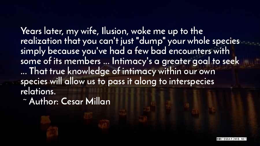 Love Encounters Quotes By Cesar Millan