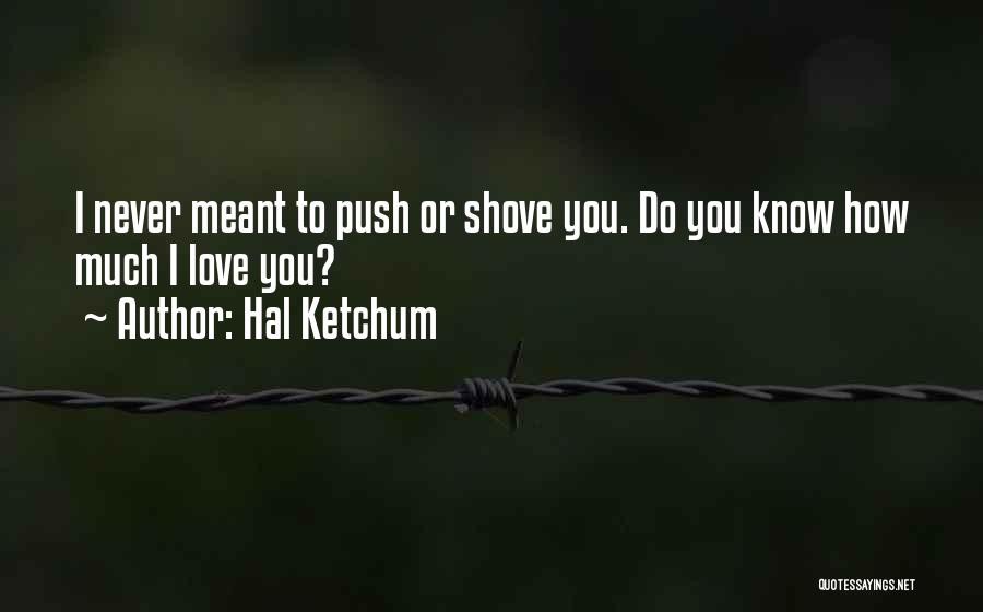 Love Endearment Quotes By Hal Ketchum