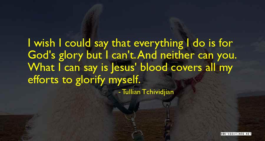 Love Everything You Do Quotes By Tullian Tchividjian