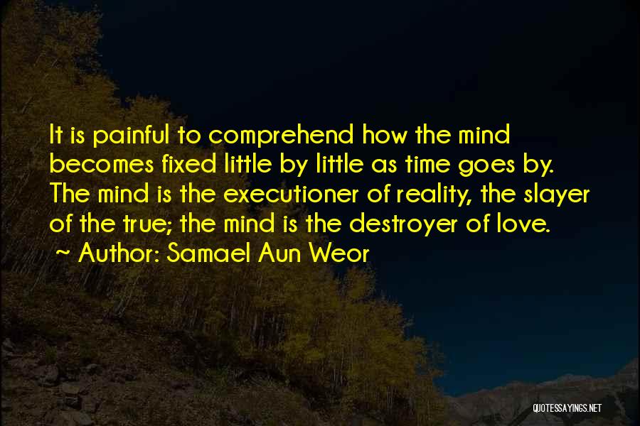 Love Executioner Quotes By Samael Aun Weor