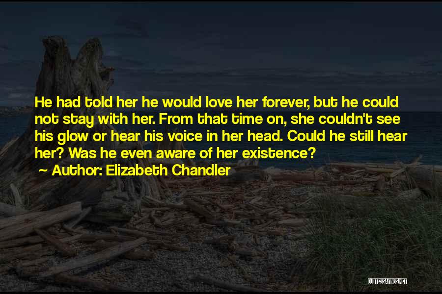 Love Existence Quotes By Elizabeth Chandler