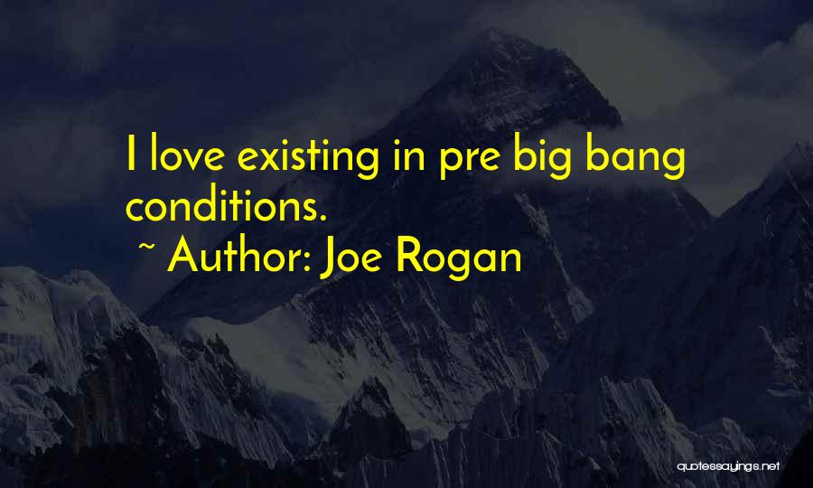 Love Existing Quotes By Joe Rogan