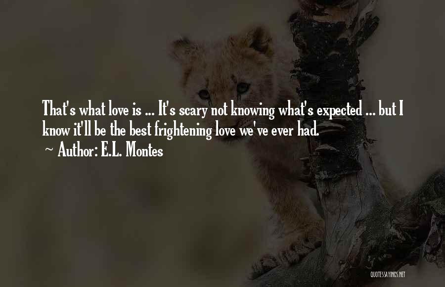 Love Expected Quotes By E.L. Montes