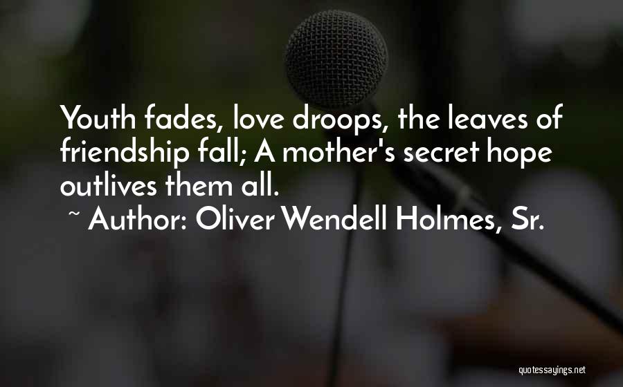 Love Fades Quotes By Oliver Wendell Holmes, Sr.