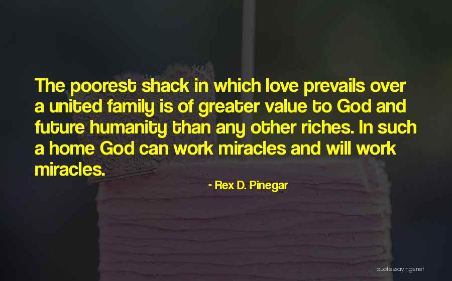 Love Family And God Quotes By Rex D. Pinegar