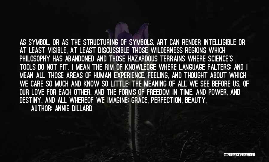 Love Feeling Thoughts Quotes By Annie Dillard