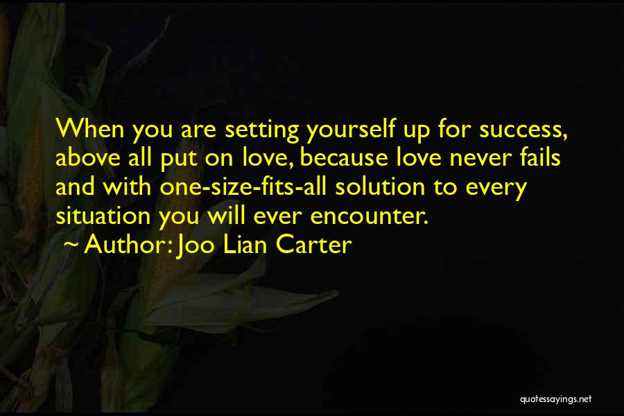 Love Fits Quotes By Joo Lian Carter