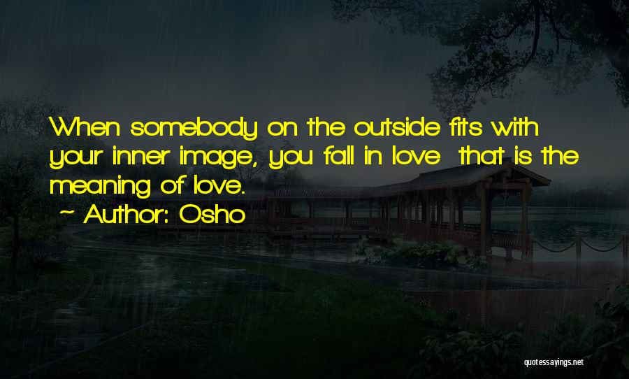 Love Fits Quotes By Osho